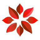 美敦雅康医学